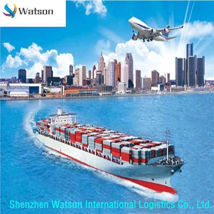 
China to EU countries United Kingdom France Spain Germany Italy Netherlands to the sea transport DDU/DDP transport services 