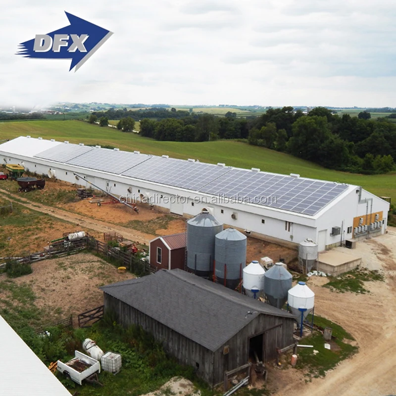 
Kenya Chicken Farm Hot Sale Poultry House Shed 