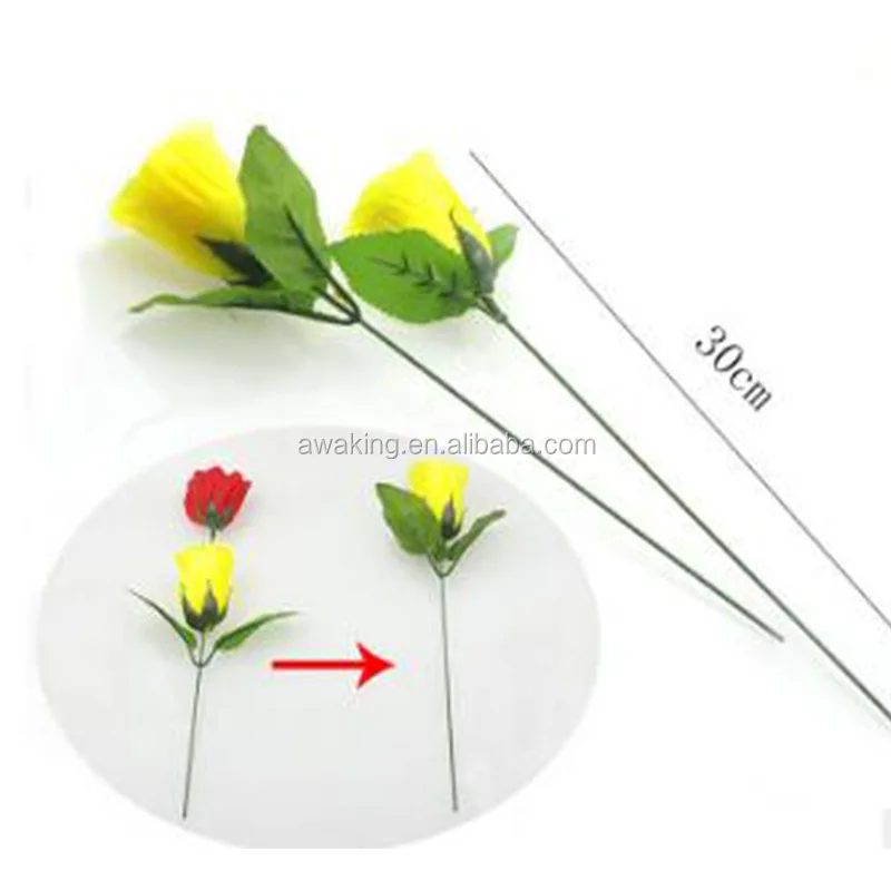 magic trick colour changing rose