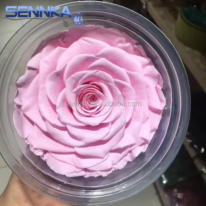 Первичный поставщик, Китай, оптовая продажа, консервированные свежие цветочные розы