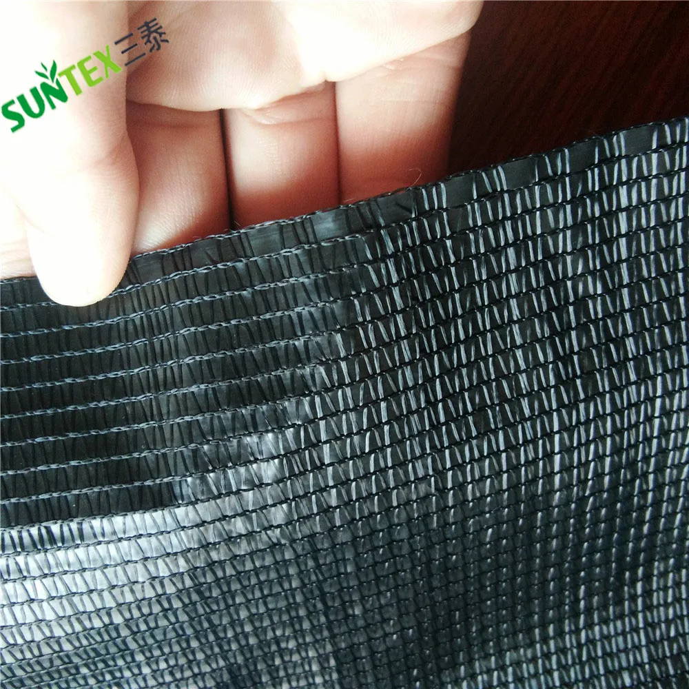 99% Energy Saving Chrysanthemum Screen,greenhouse Flower protection Thermal Screen, Induce Booming Mesh