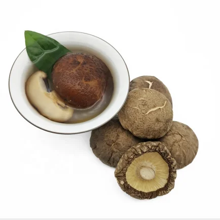 
dry mushroom/black mushroom dry 