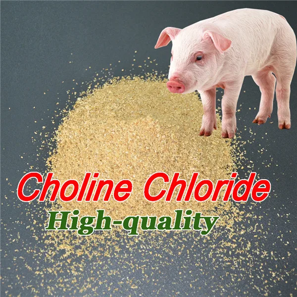 Best quality feed choline chloride supplement 60% per cob