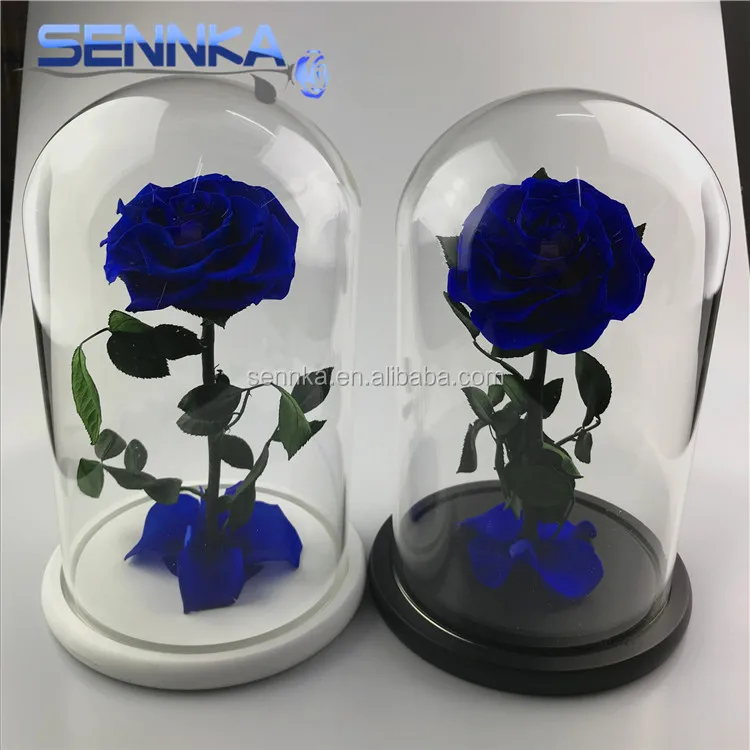 Yunnan Wholesale Preserved Rose in Glass Dome for Home Decoration