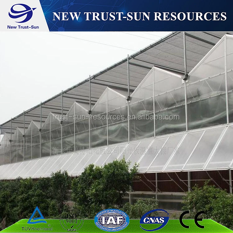 
China customized hydroponic growing systems polycarbonate sheet greenhouse for sale 