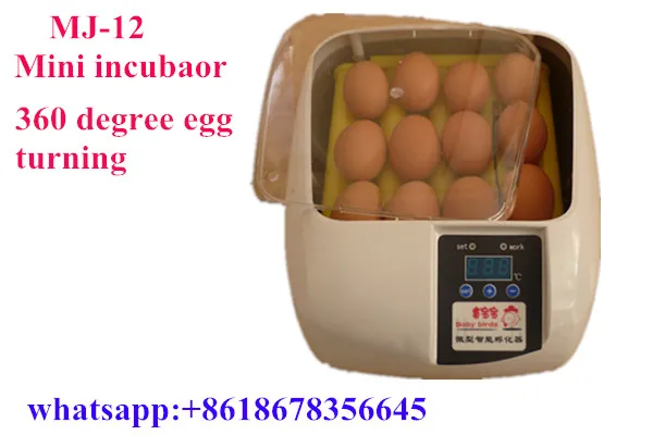 
Cheap price Egg incubator for hatching 12 chicken eggs Small mini egg incubator for sale 