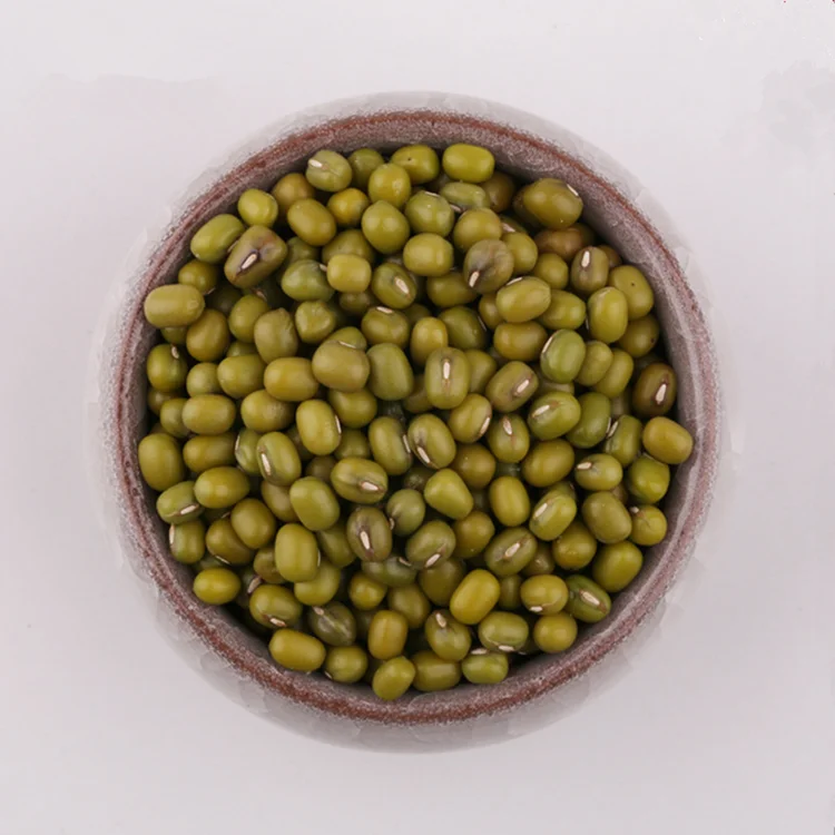 
Chinese top grade fresh green mung bean harvester green mung bean for sprouting 