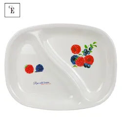 Divided Feeding Dish Melamine Divided Dinner Plate 2 Section Melamine  Tableware