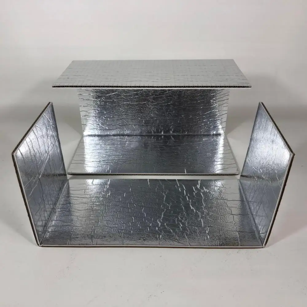 Environmentally friendly insulated cold chain transport carton for food