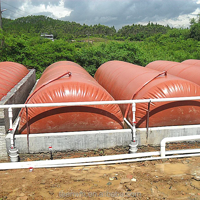 Teenwin china Easy install bag biodigester 50m3