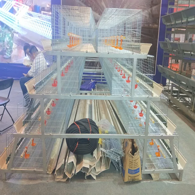 
Проект по производству яиц, курятник 