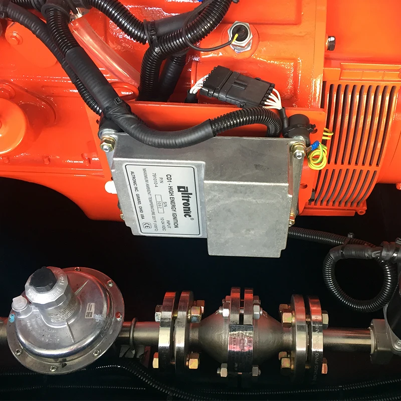 Combined heat and power biogas generator/300KW biogas generator power plant