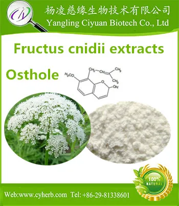 Increase Sperm Secretion Functional Common Cnidium Fruit Extract  484-12-8 Osthole 98%