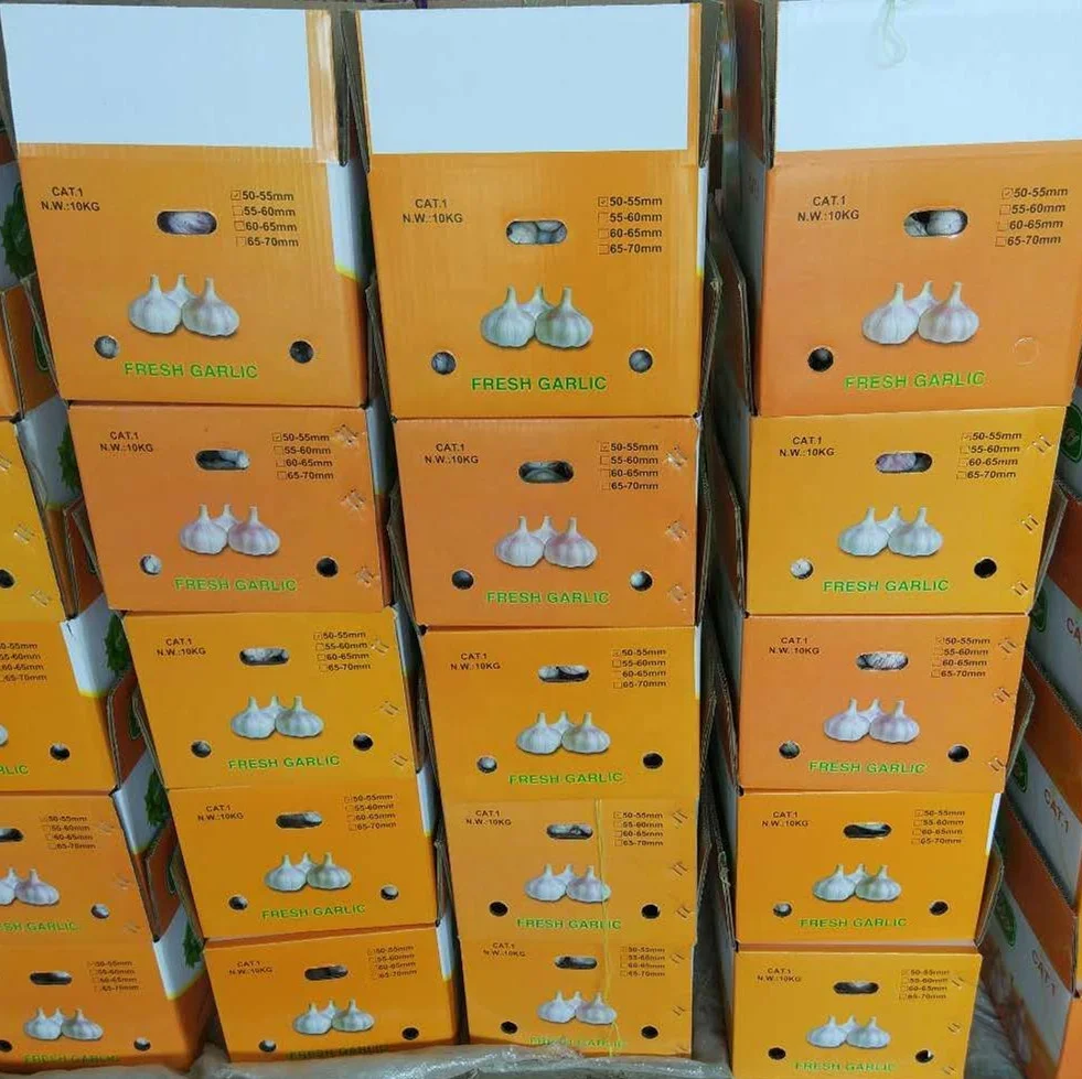 original garlic from china