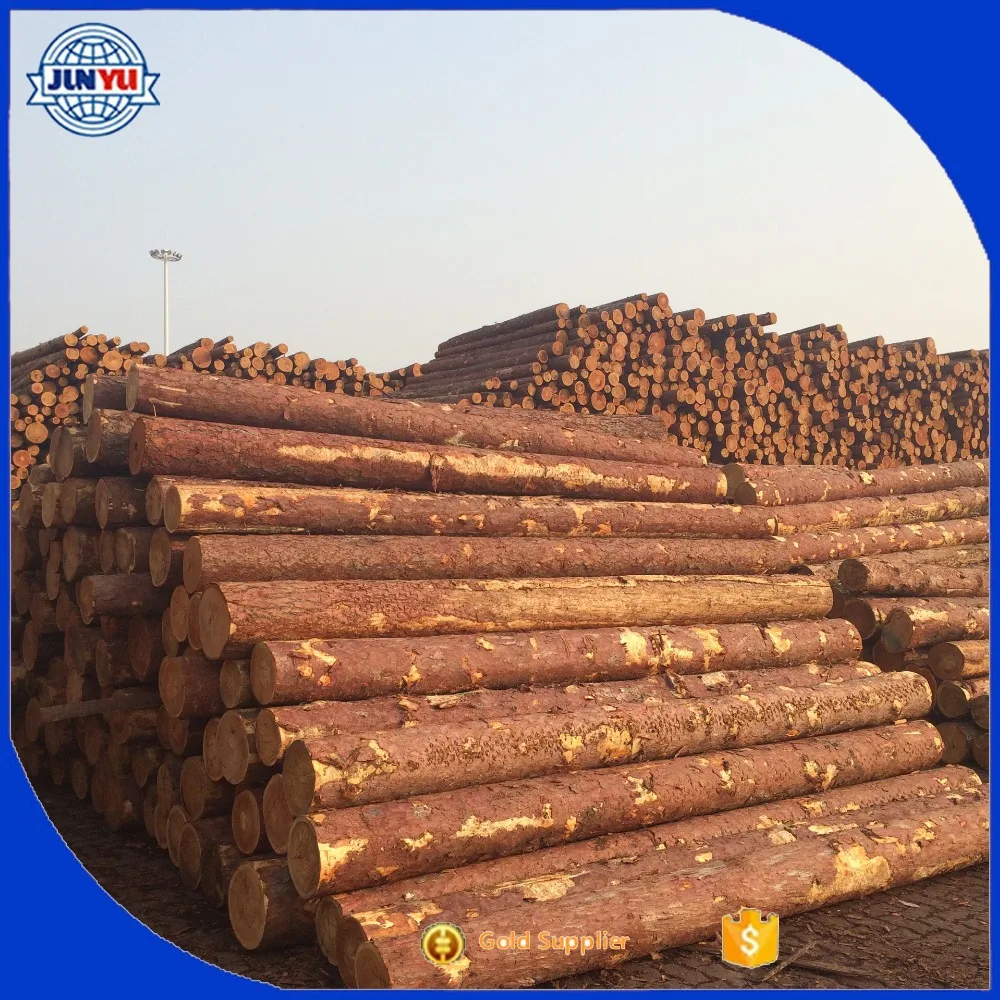 radiator pine forestry companies nz radiata pine sustainability wood prices nz