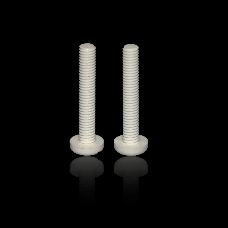 Plastic Slot Pan Head Polypropylene PP Plastic  bolt  plastic screw and nut