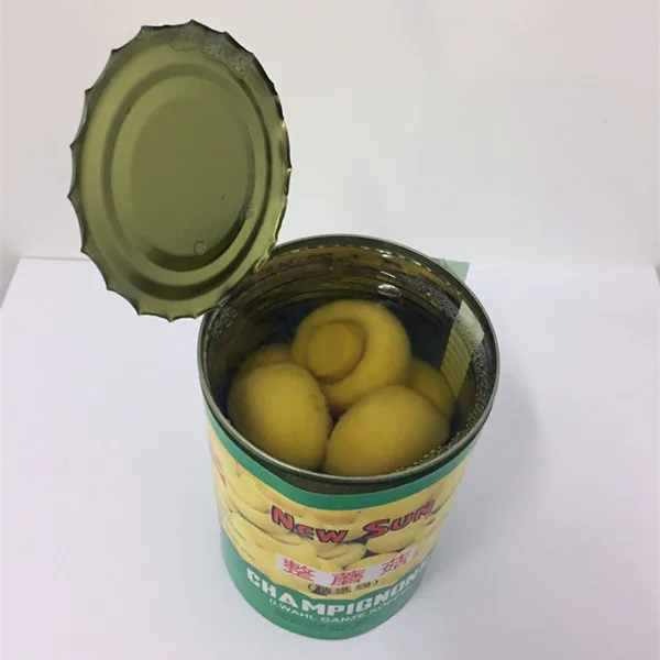 
Canned Style and 24 Shelf Life canned champignon mushroom 