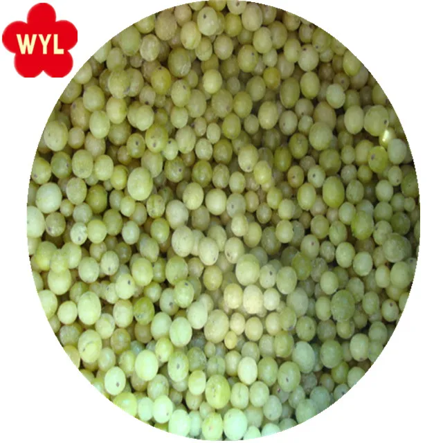 good price iqf frozen gooseberry with frozen fruits