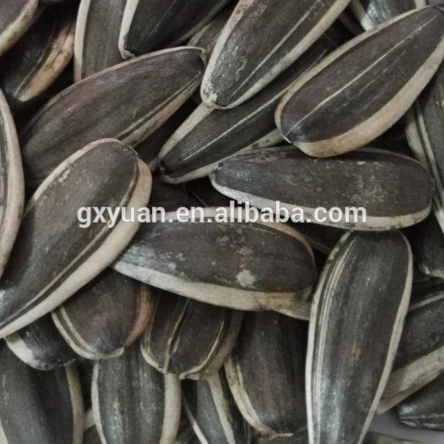 
Factory price wholesale new crop sunflower seeds in shell 361type with big size 
