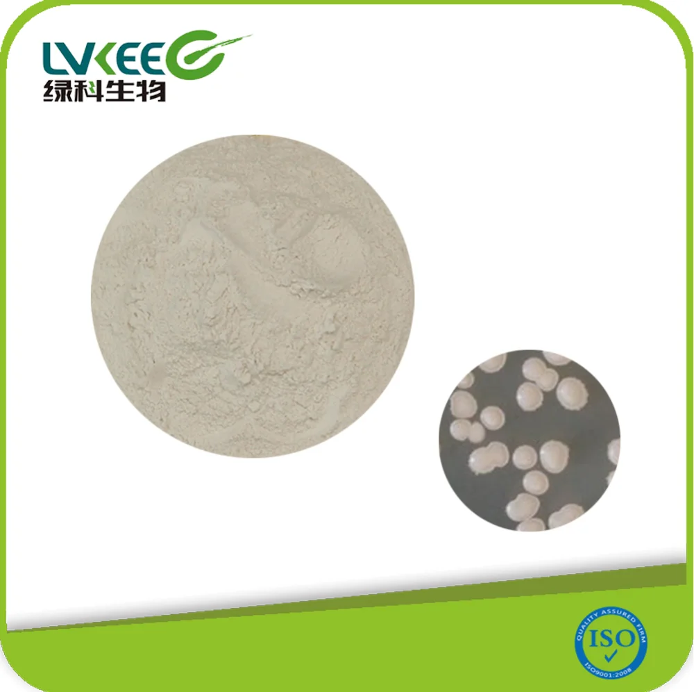 Биотики для аквакультуры, 20 млрд Фу/г, Bacillus Licheniformis для рыбы и креветок