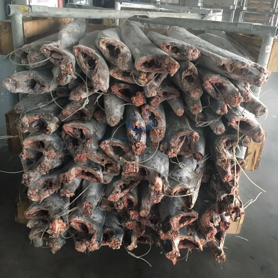 
Seafrozen sailfish exporter from China frozen marlin fish 