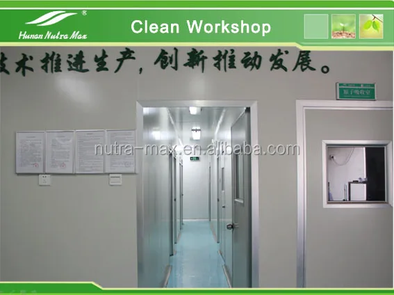  Натуральный порошок экстракта листьев зефира