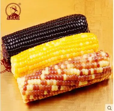 
 Фиолетовая Кукуруза без ГМО и многоцветная клейкая кукуруза  