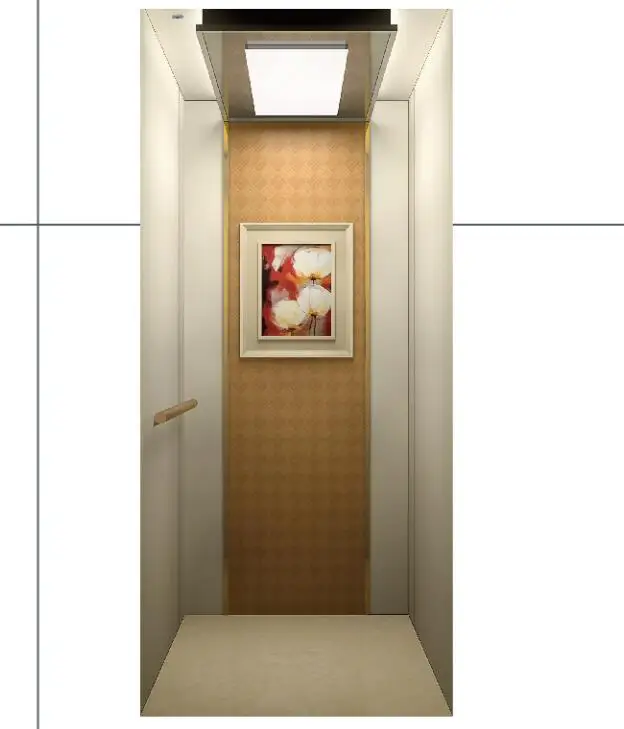 
ORIA Small Home Elevators Lift for Using with Good Price 