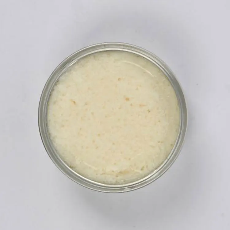 
wet pet food cat dog canned food 