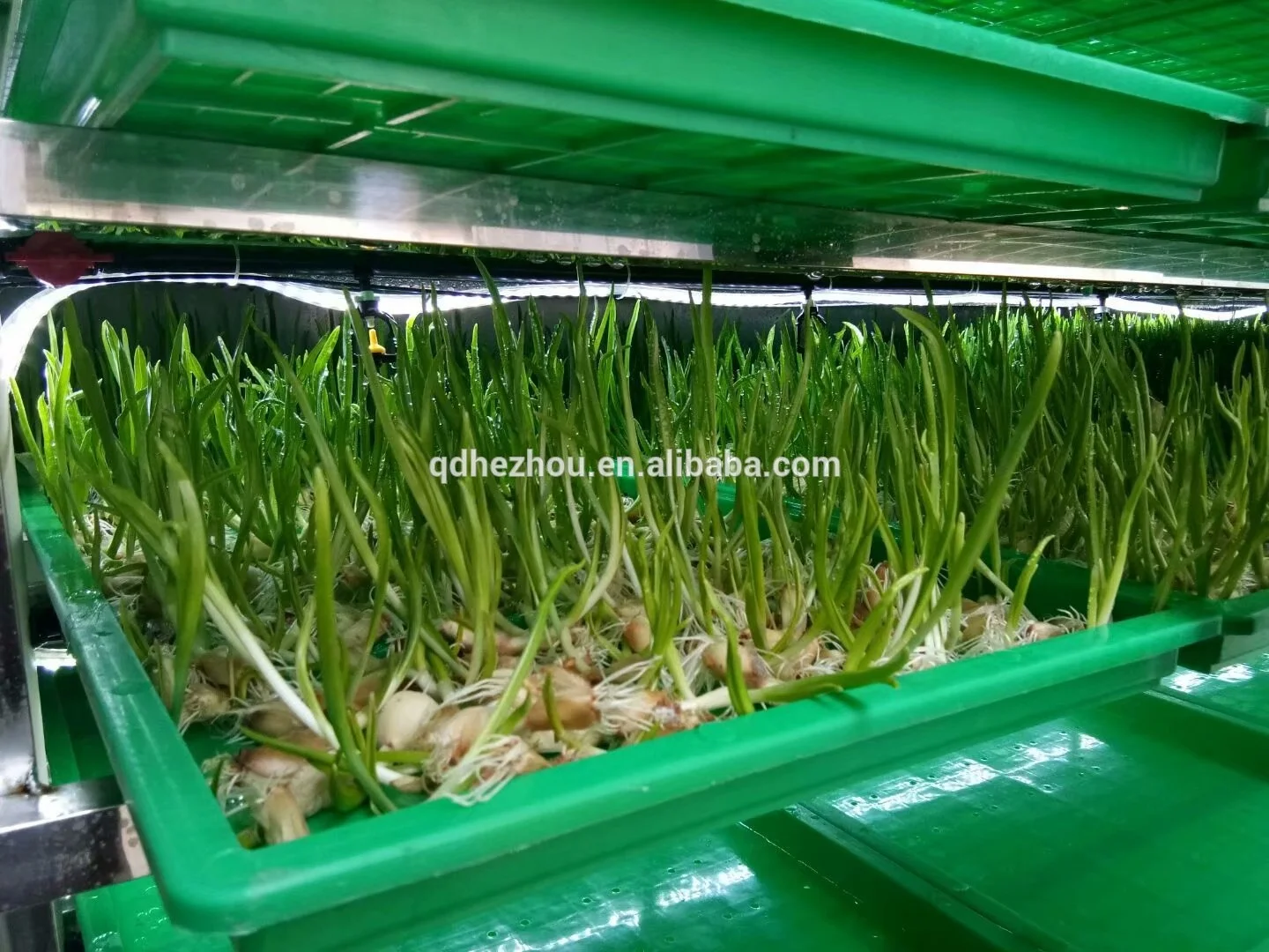 Automatic Hydroponic System Machine Mung Bean Sprout Container For Bean Sprout