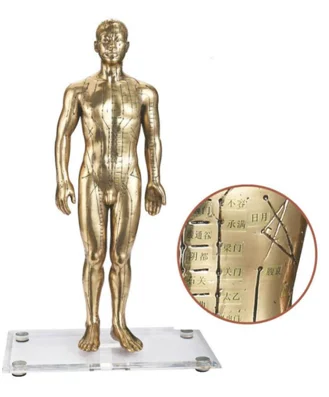 Chinese medical acupuncture human body model for acupuncture