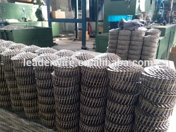 Stainless Steel Roofing Coil Nails for Pneumatic Nail Gun