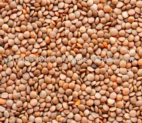 
Red lentils whole/Masur dal/whole red lentils 