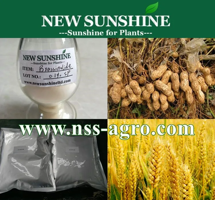 Natural Brassinolide Plant Hormone Brassinolide Agriculture