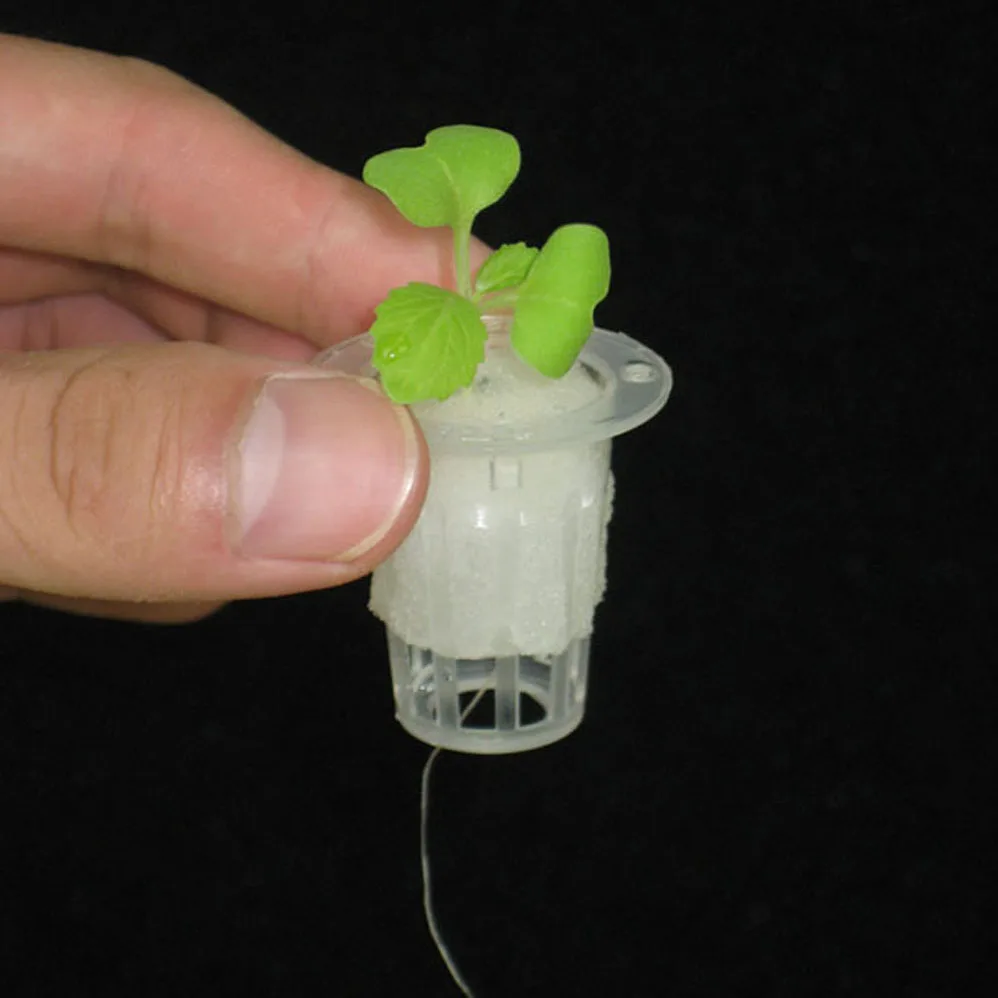 Net Cup Hydroponic System Pot Plastic Net Pot Hydroponic For Plants