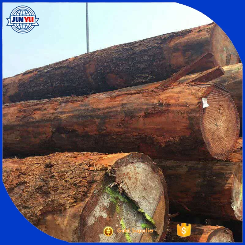 red pine lumber and logs red pine timber hot sale red pine logs export