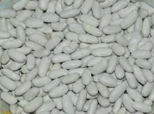 long beans for Australia