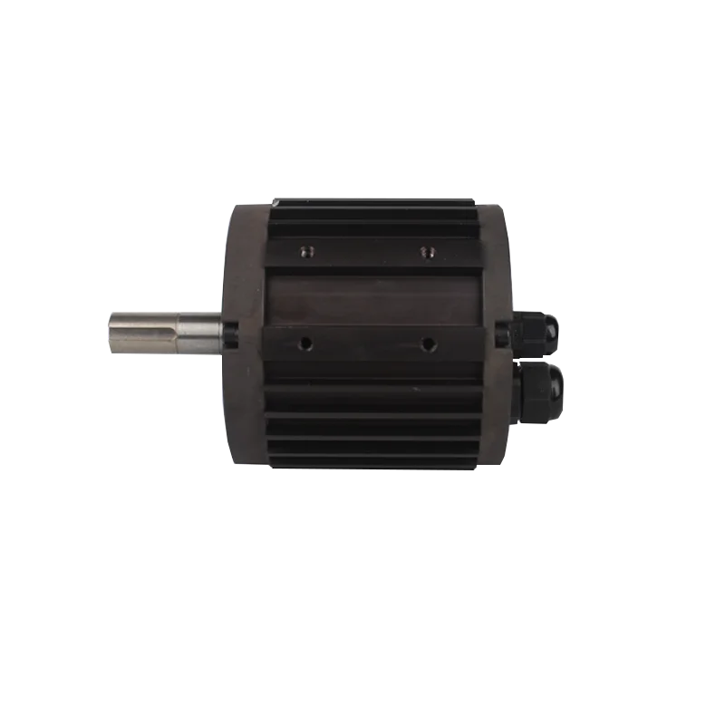 24v 1000w brushless dc motor