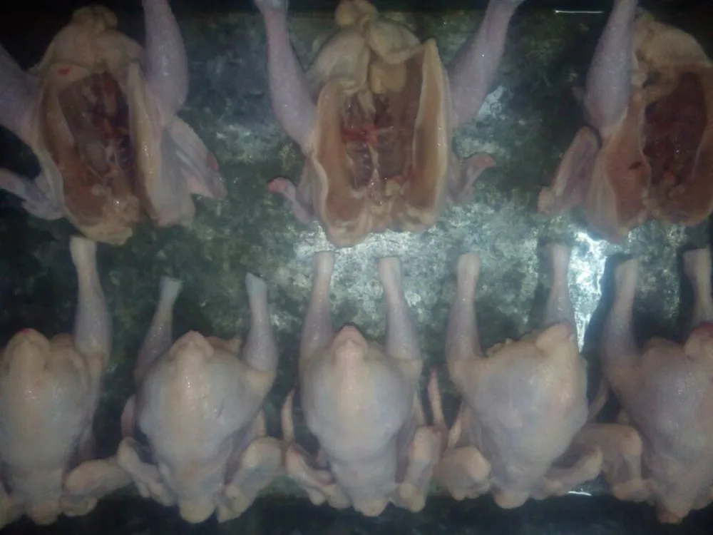 замороженная курица в целиком