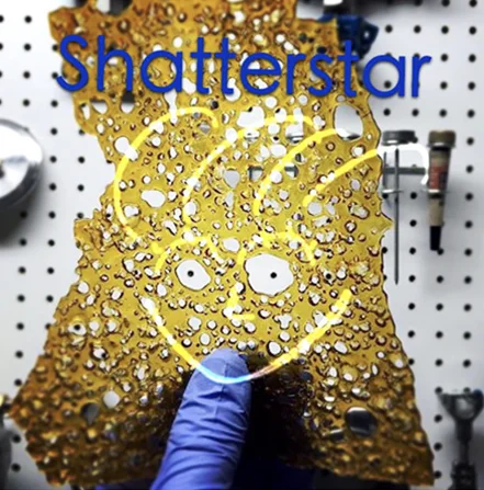 7.8cuft vacuum purge oven with led inside the door