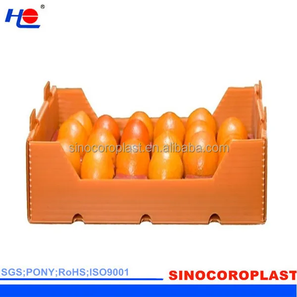 Fruit Packing Corrugated PP Plastic Flute Box