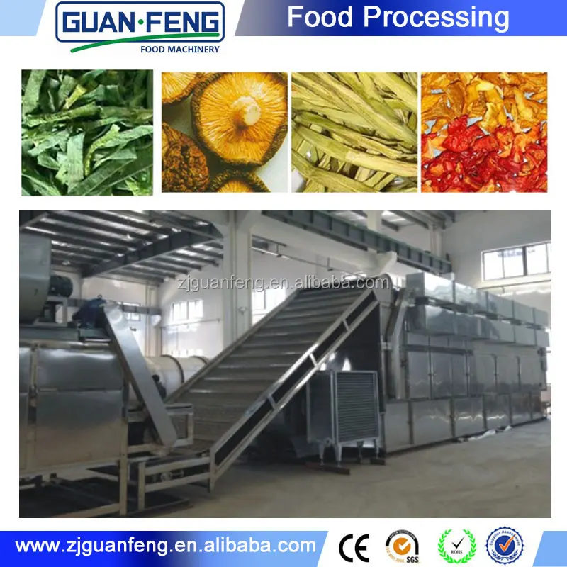 Vegetables and fruits dehydrator spring onion drying line
