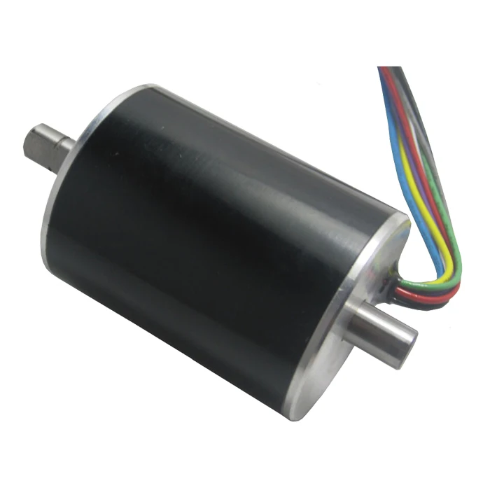 WS4255-48-55-V200 BLDC Motor 48V