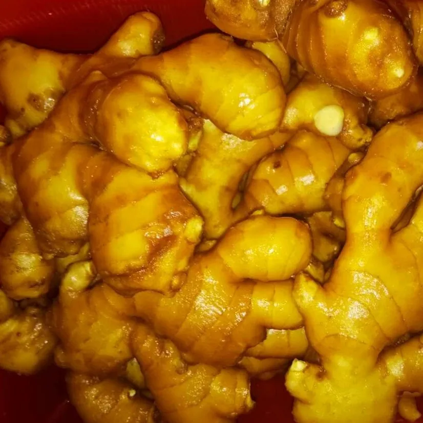 
Fresh Ginger From China 