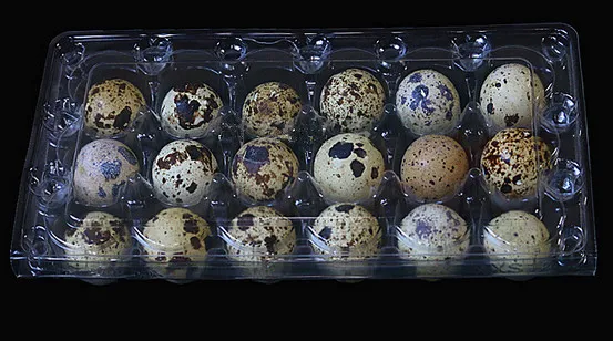 18 hole plastic quail egg tray for packing quail eggs