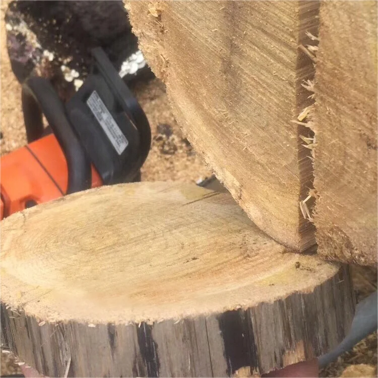 Buy Powerful Gasoline Chainsaw 52cc 58cc