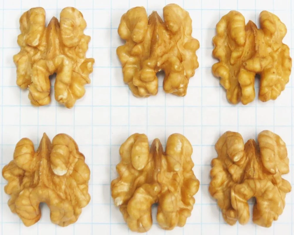 Chinese Xinjiang Light Halves Walnut Kernels with best price and good quality
