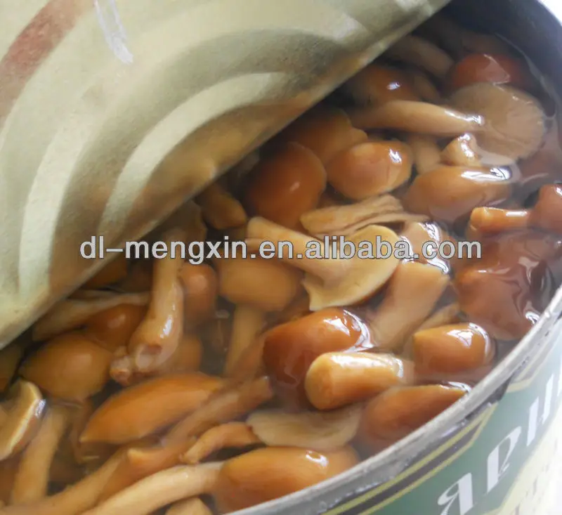 factory price Canned mushroom nameko