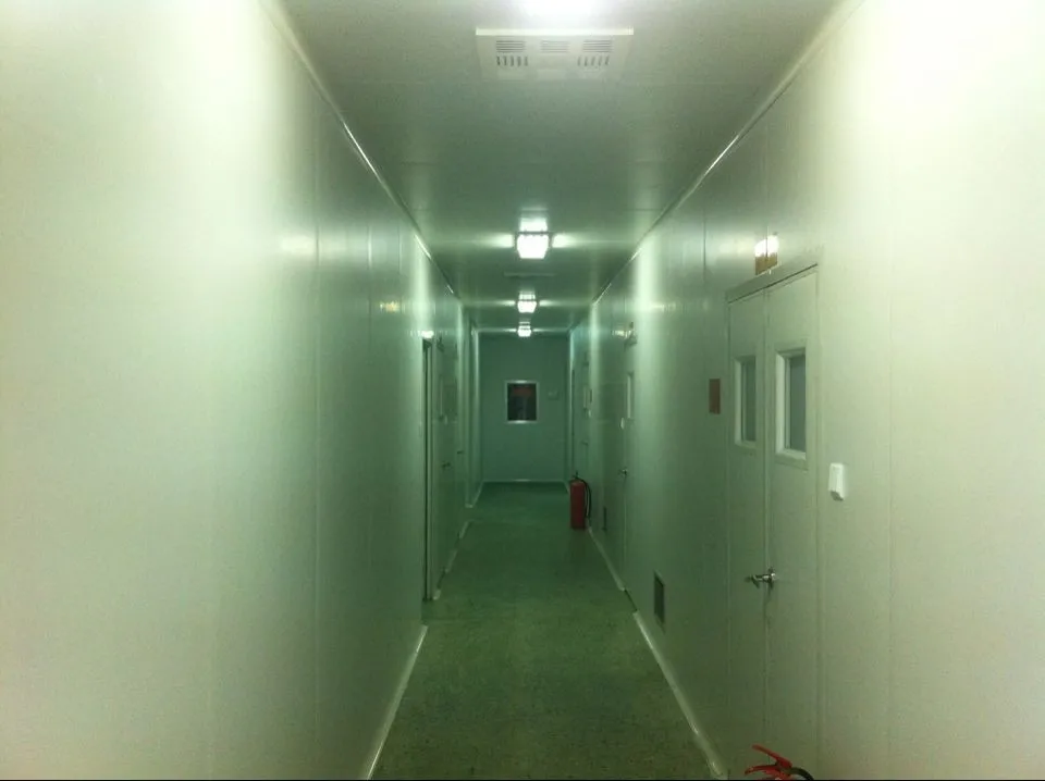 
100% Natural Poplar Flower Extract Populus tremula Extract 4:1 10:1 20:1 