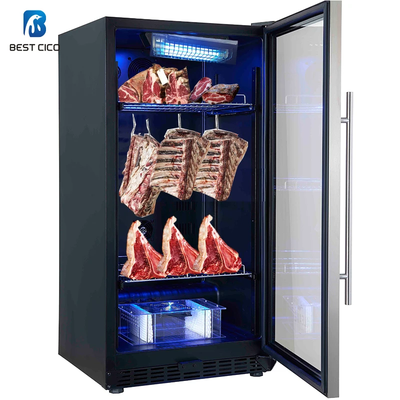 best dry aging fridge